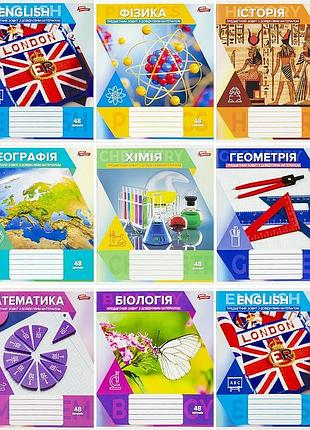 Набор предметных тетрадей мечты сбываются 48 листов клетка