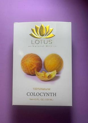 Lotus colocynth oil. масло колоцинта. 125ml
