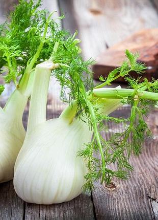 Гидролат фенхеля, 1 литр