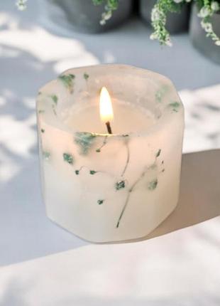 Природна гармонія - свічка 5*5,5 см з зеленою гіпсофілою, 15 годин горіння, з ароматом льодяник