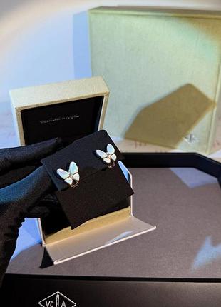 Серьги бабочки / полное упаковка 2