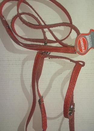 Кожаная шлейка с поводком красный (1м40см*19см)