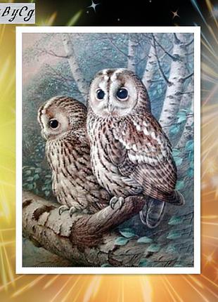 Алмазная вышивка 5d,ночная сова, полная выкладка 30*40