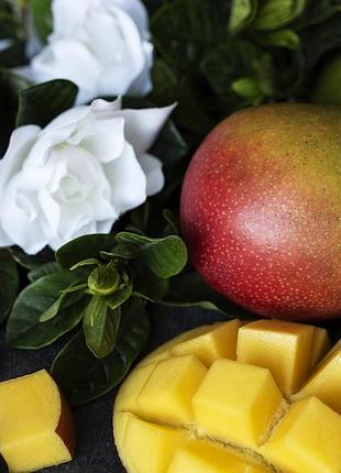 Соєва ароматична свічка в сірому кашпо у формі черепа mango and gardenia