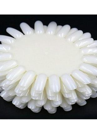 Ромашки , планшет для образцов, 10 шт