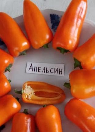 Семена перца апельсин 100 штук