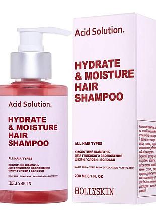 Кислотний шампунь для глибокого зволоження шкіри голови і волосся hollyskin acid solution.