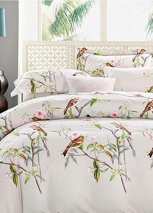 Постельное белье сатин нв041 семейный word of dream