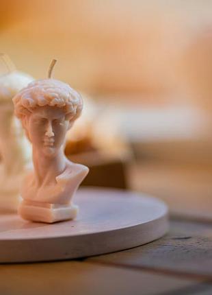 Ароматическая соевая свеча давид c эфирными аромамаслами 3.6х6.8см tropical forest