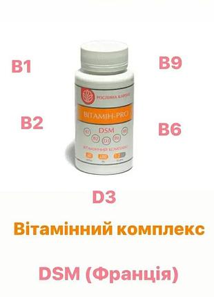 Витамин pro для энергии 2 шт по 60 капсул рк