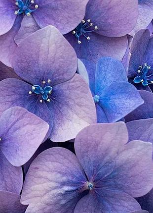 Соевая ароматическая свеча в большом черном кашпо love spell