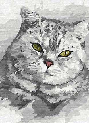 Картина по номерам зеленоглазый взгляд идейка 30 х 30 кно4200