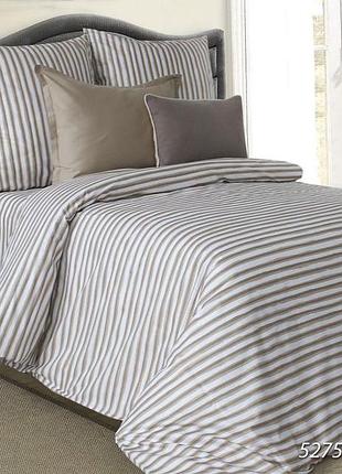Комплект постельного белья полоска 2 спальный (пододеяльник 215х175 см, простынь 220х180 см, наволочка 50х70
