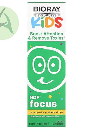 Bioray, focus, пробиотик в каплях для детей, для концентрации внимания, цитрусовый вкус, 60 мл