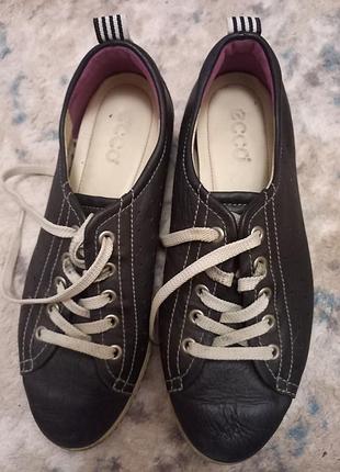 Продам кеды