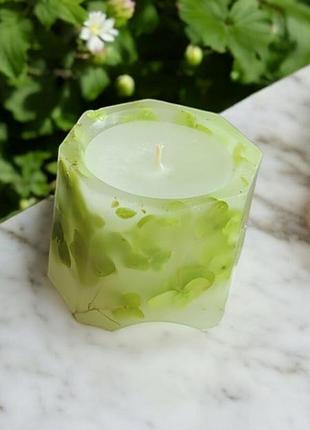 Природна симфонія: зелена гортензія - свічка 5*5,5 см, 15 годин горіння, з ароматом хвоя