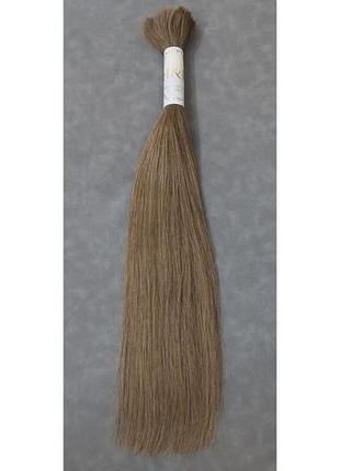 Натуральные волосы для наращивания в срезе 50 см, 100 г, #8 пепельно-русый