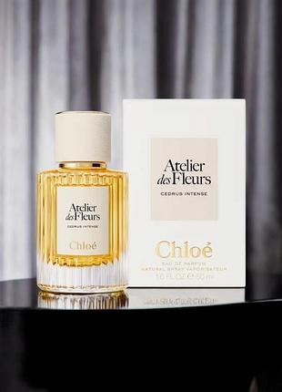 Chloe cedrus intense 50ml