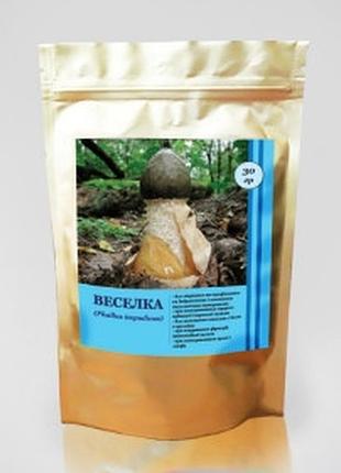 Веселка порошок обмен веществ, онкология, репродуктивная система фунгодоктор 30 г