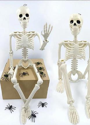 Гелловінський скелет людини 40 см, рухомі суглоби, декор для свята, страхітливі прикраси
