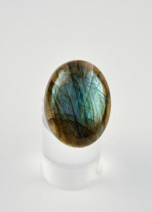 Серебряное кольцо лабрадор арт. 771118