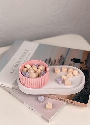 Набір ароматичних соєвих міні-саше (30шт) в гіпсовому кашпо на підставці ручної роботи tropical forest