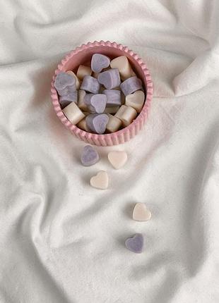 Набор ароматических соевых мини-саше (30шт) в гипсовом кашпо ручной работы apple pie