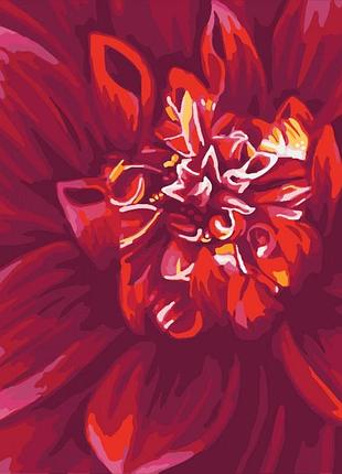 Картина по номерам яркий георгин идейка 40 х 50 кно2092