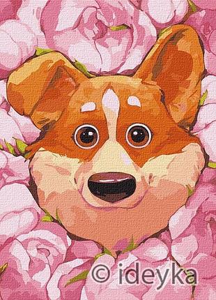 Картина по номерам цветочный корги софия никулина идейка 30 х 40 kho4234