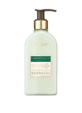 Лосьон для рук и тела с бузиной и бергамотом essense & co.300 мл.
