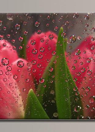 "тюльпаны 4" картина на холсте для интерьера 89, 54