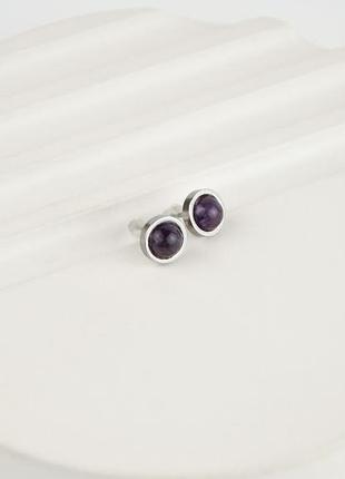 Серьги гвоздики сталь аметист арт. 771254