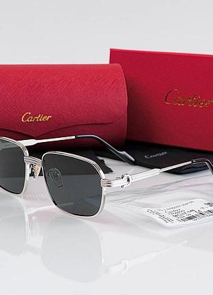 Мужские солнцезащитные брендовые очки (0445) silver lux