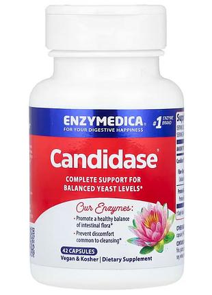 Поддержка пищеварения, candidase, enzymedica, 42 капсулы
