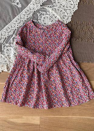 Сукня з довгим рукавом та комірцем next 12-18 місяців