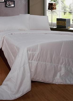 Одеяло с натуральным шелком 200х220см word of dream