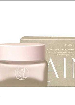 До 13.12.2024 року крем з веганським колагеном kaine vegan collagen youth cream 50 ml