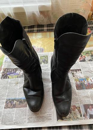 Чоботи жіночі