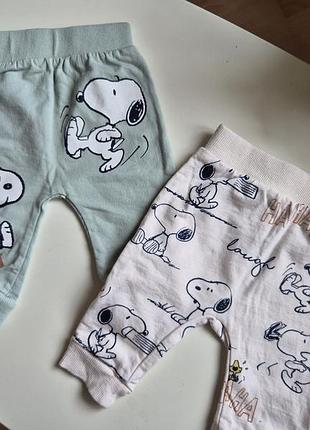 Набор штанишек