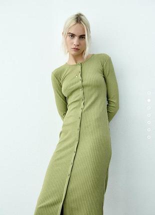 Зелена трикотажна сукня zara в рубчик s