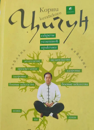 Цигун секреты успешной практики ян цзюньмин книга 2005 года издания б/у .є підкреслення!!