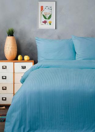 Постельное белье сатин-страйп 1*1 голубой семейный
