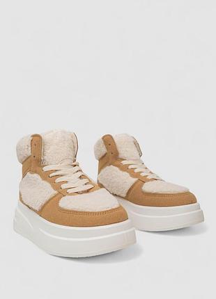 Кроссовки женские зимние на меху хайтопы, цвет бежевый, 248rlm20-3