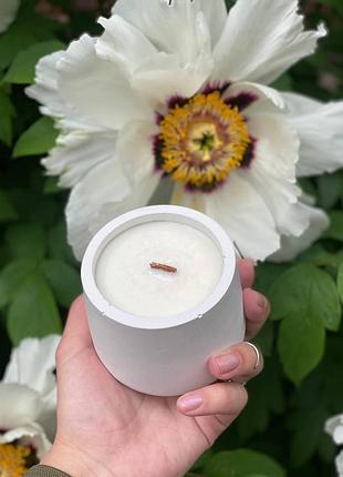 Cоевая свеча с эфирными аромамаслами в гипсовом кашпо mono s aphrodisiac