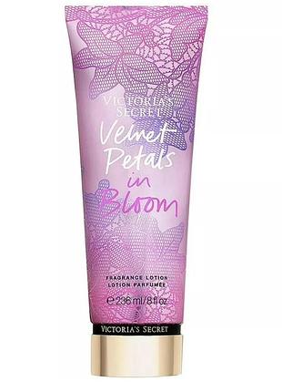 Парфюмированный лосьон для тела victoria's secret velvet petals in bloom 236 мл