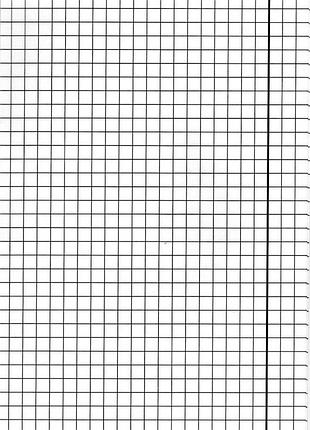 Тетрадь для слабовидящих 12 листов, клетка (в крупную клетку)