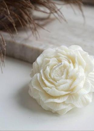 Соевая свеча пион с эфирными аромамаслами 8х3.5см citrus & wood