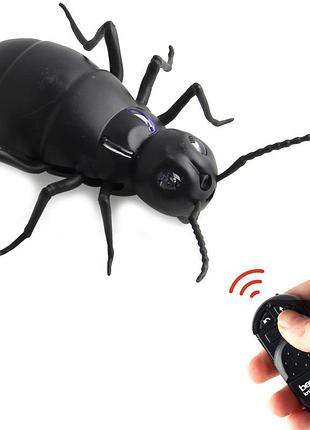 Муравей на радиоуправлении giant ant