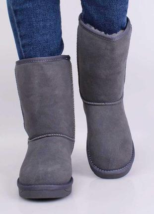 Натуральна замша стильні сірі зимові чоботи високі замшеві уггі2 фото