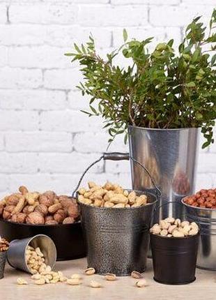 Композиція №8 "горіхи"